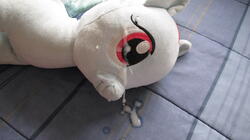 character:rainbow_dash creator:ikananprincess cum cum_on_plushie toy:build-a-bear toy:plushie // 3648x2048 // 1.7MB