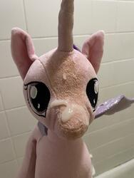 character:princess_cadance creator:jamesw69 cum cum_on_plushie toy:build-a-bear toy:plushie // 3024x4032 // 3.1MB
