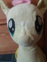 character:fluttershy creator:winter cum cum_on_plushie toy:build-a-bear toy:plushie // 3120x4160 // 3.8MB