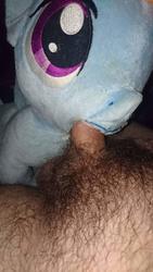 blowjob character:rainbow_dash creator:hyped dried_up_cum male mouth_sph penis pubic_hair sph toy:plushie // 1080x1920 // 196.0KB