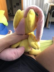 character:fluttershy grinding male penis toy:plushie // 960x1280 // 155.0KB